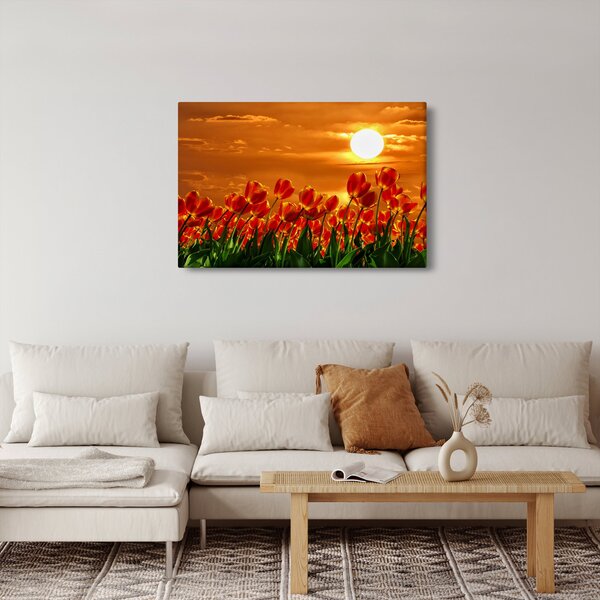Slika cvatućeg polja s tulipanima (90x60 cm)