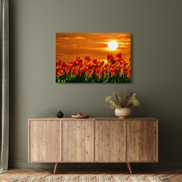 Slika cvatućeg polja s tulipanima (90x60 cm)