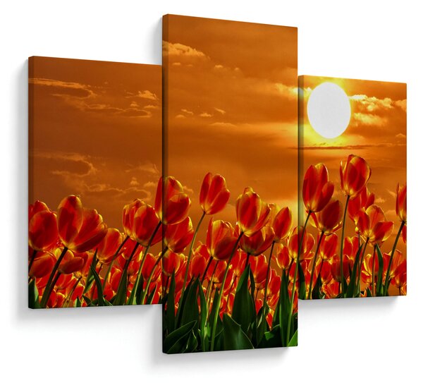 Slika cvatućeg polja s tulipanima (90x60 cm)