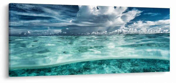 Slika - Pogled u podmorje (120x50 cm)