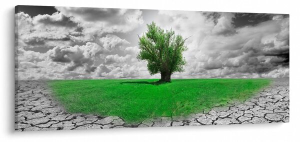 Slika - Djelić prirode u gradu (120x50 cm)
