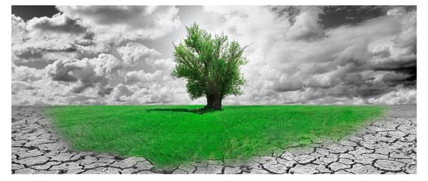 Slika - Djelić prirode u gradu (120x50 cm)
