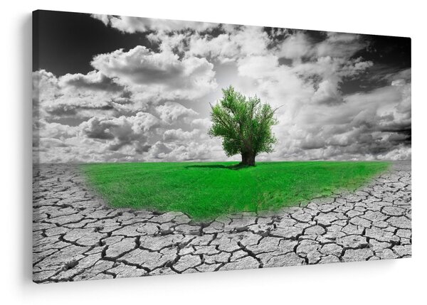 Slika - Djelić prirode u gradu (90x60 cm)