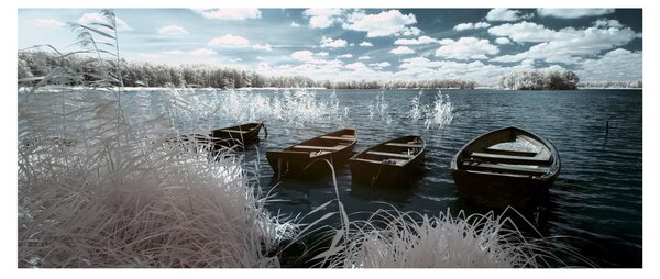 Slika - Drveni čamci na jezeru (120x50 cm)