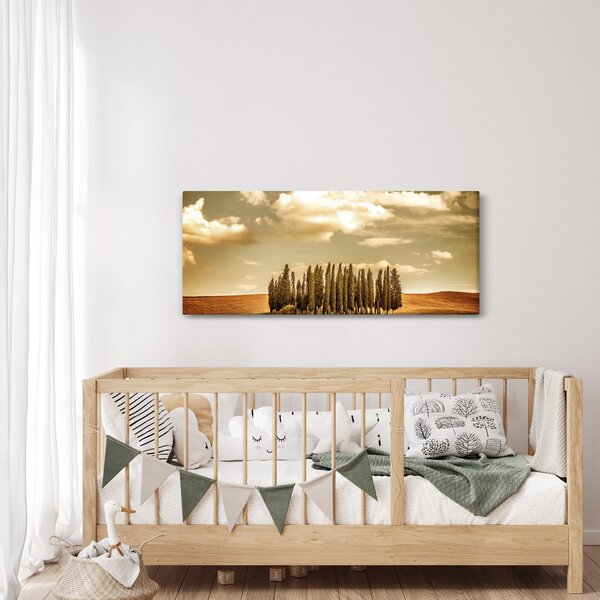 Slika proplanka (120x50 cm)