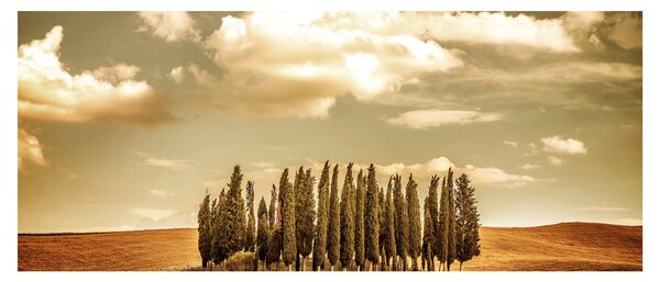 Slika proplanka (120x50 cm)