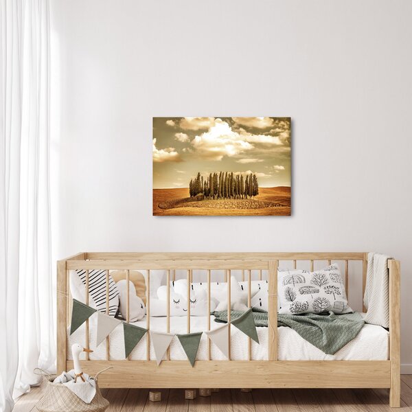 Slika proplanka (70x50 cm)