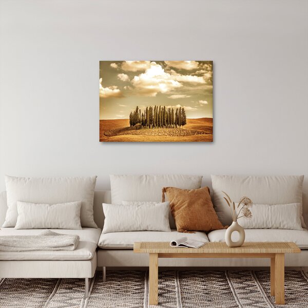 Slika proplanka (70x50 cm)