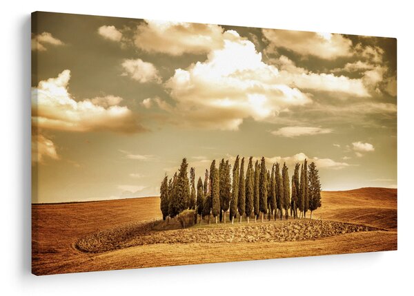 Slika proplanka (90x60 cm)