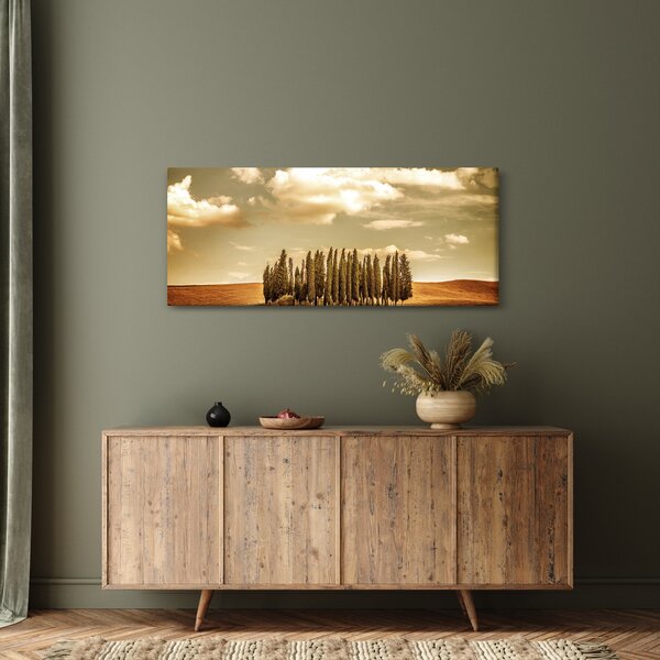 Slika proplanka (120x50 cm)