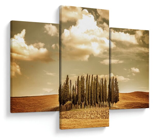 Slika proplanka (90x60 cm)