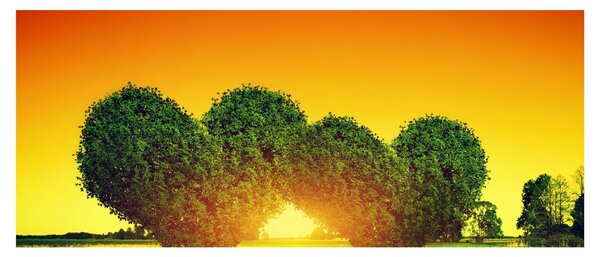 Slika - Srce u krošnjama drveća (120x50 cm)