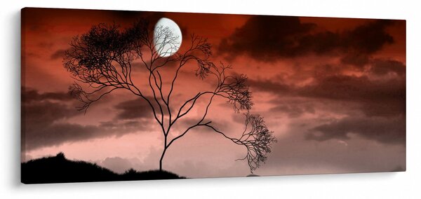 Slika - Mjesec koji osvjetljava noć (120x50 cm)