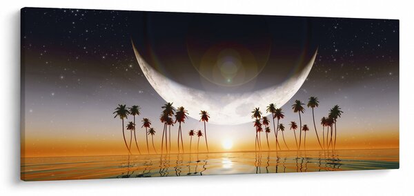 Slika - Mjesec iznad palmi (120x50 cm)