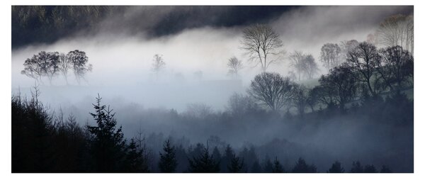 Slika magle nad šumom (120x50 cm)