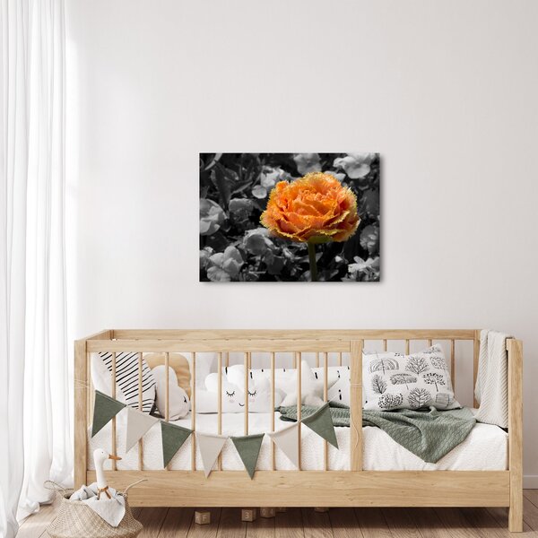 Slika cvijeta (70x50 cm)