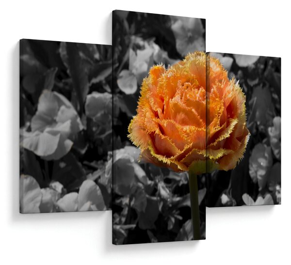Slika cvijeta (90x60 cm)