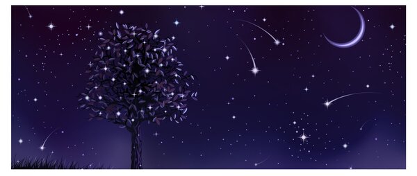 Slika - Noć zabilježena ilustracijom (120x50 cm)