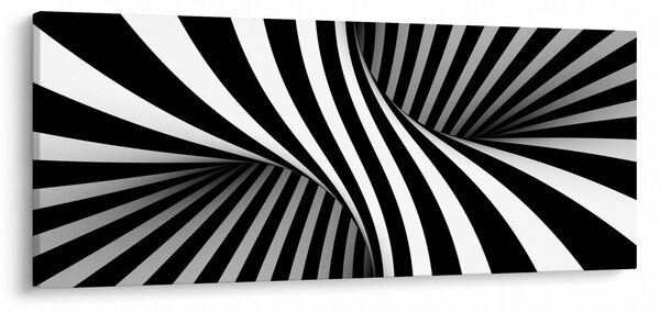 Apstraktna slika sa zebrastim prugama (120x50 cm)