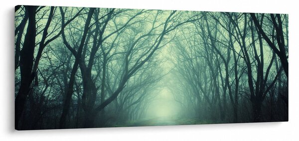 Slika - Cesta s drvoredom (120x50 cm)
