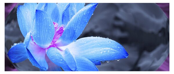 Slika detalj cvijeta (120x50 cm)