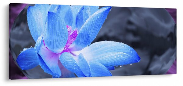 Slika detalj cvijeta (120x50 cm)