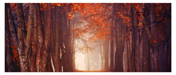 Slika - Jesenska šuma (120x50 cm)