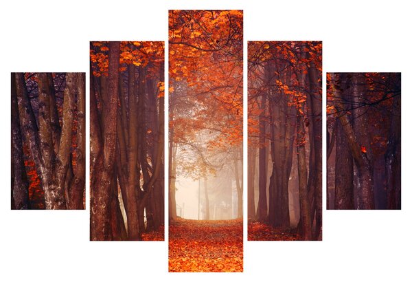 Slika - Jesenska šuma (150x105 cm)