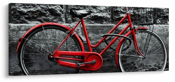 Slika - Povijesni bicikl (120x50 cm)