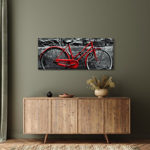 Slika - Povijesni bicikl (120x50 cm)