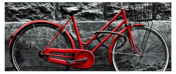 Slika - Povijesni bicikl (120x50 cm)