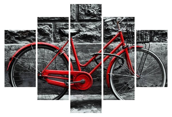 Slika - Povijesni bicikl (150x105 cm)