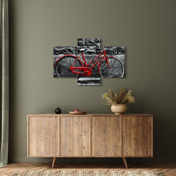 Slika - Povijesni bicikl (90x60 cm)