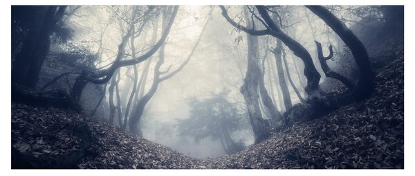 Slika - Šuma u magli (120x50 cm)