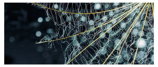 Slika - Cvijet s paučinom (120x50 cm)