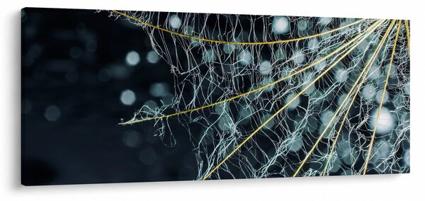 Slika - Cvijet s paučinom (120x50 cm)