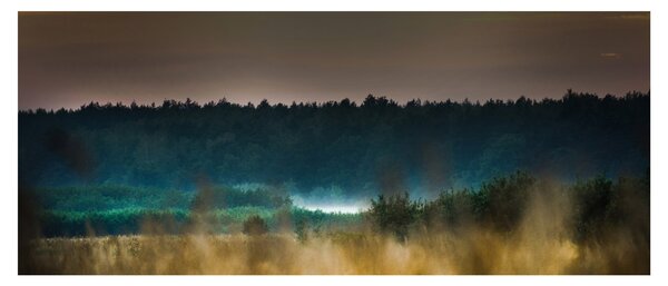 Slika - Gorski krajolik (120x50 cm)