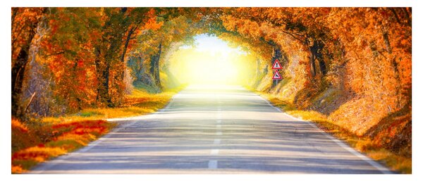 Slika -Prolaz od krošnja stabala (120x50 cm)