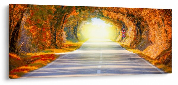 Slika -Prolaz od krošnja stabala (120x50 cm)