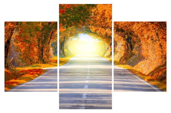 Slika -Prolaz od krošnja stabala (90x60 cm)