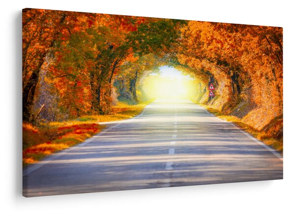 Slika -Prolaz od krošnja stabala (90x60 cm)