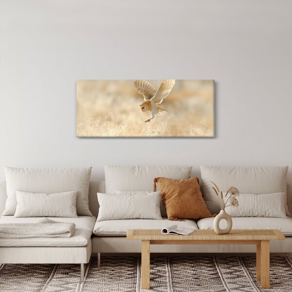 Slika - Sova kukuvija (120x50 cm)