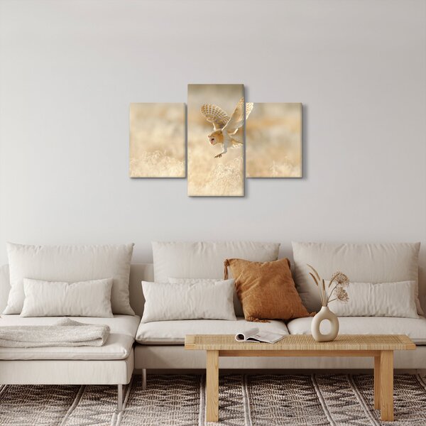 Slika - Sova kukuvija (90x60 cm)
