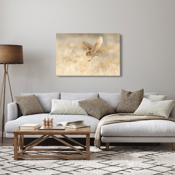 Slika - Sova kukuvija (90x60 cm)