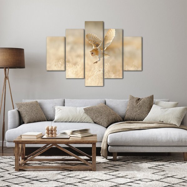 Slika - Sova kukuvija (150x105 cm)