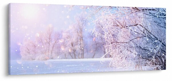 Slika - Mrazna zima (120x50 cm)