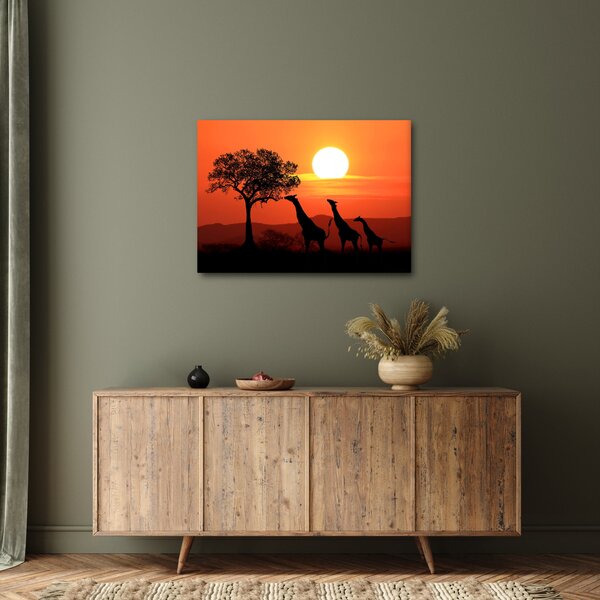 Slika žirafa u zalasku sunca (70x50 cm)