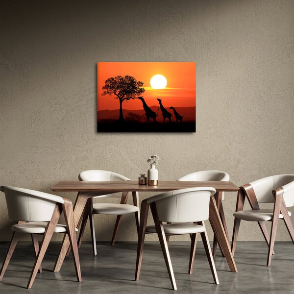 Slika žirafa u zalasku sunca (70x50 cm)