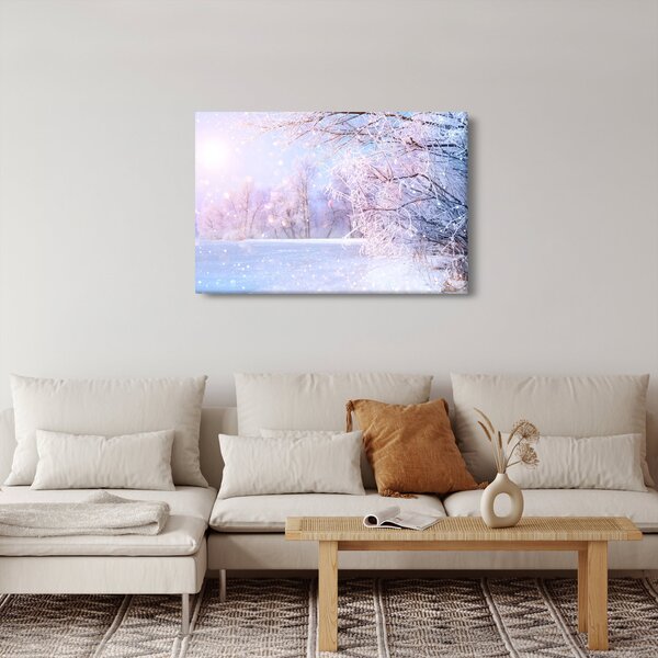 Slika - Mrazna zima (90x60 cm)