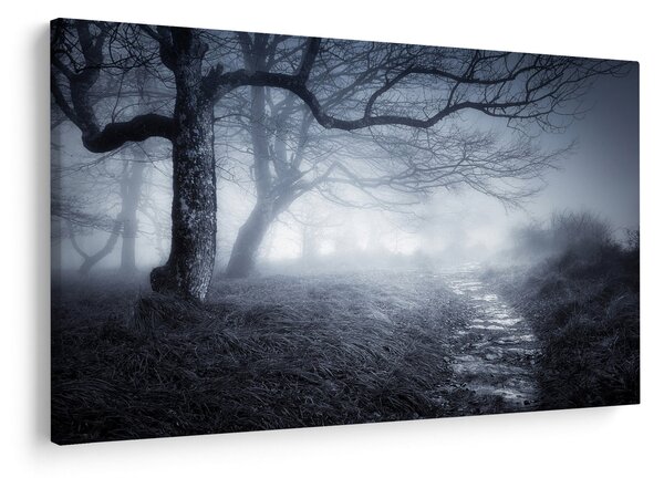 Slika - Put u magli (90x60 cm)